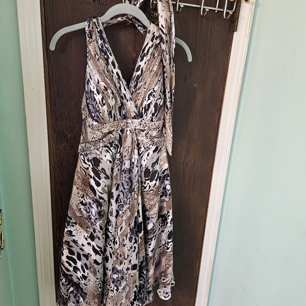 Ignite Evenings Cocktail Dress